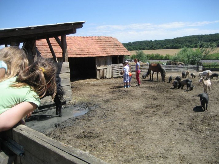 XII. Ekološko raziskovalni tabor Polžek