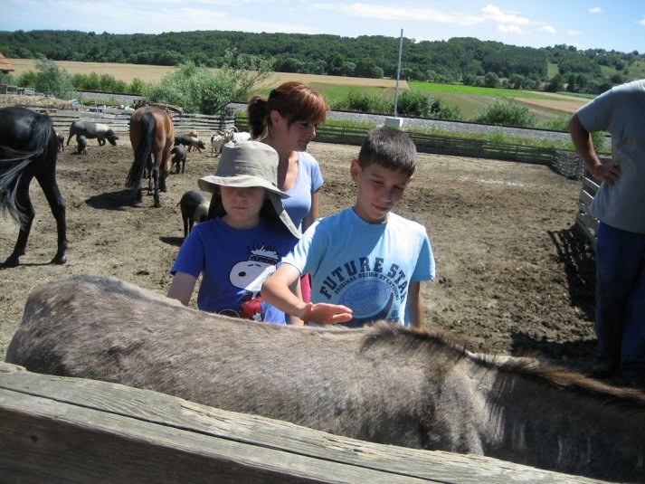 XII. Ekološko raziskovalni tabor Polžek