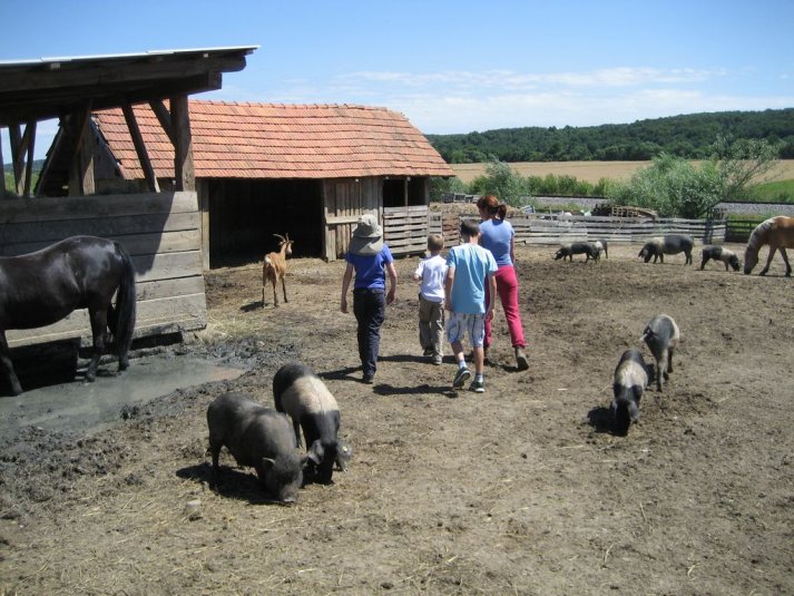 XII. Ekološko raziskovalni tabor Polžek