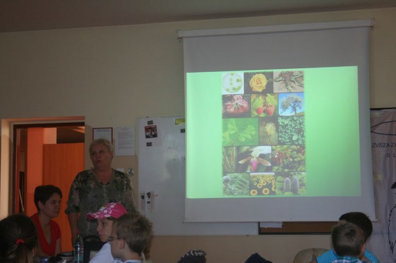 XI. Ekološko raziskovalni tabor Polžek 2013
