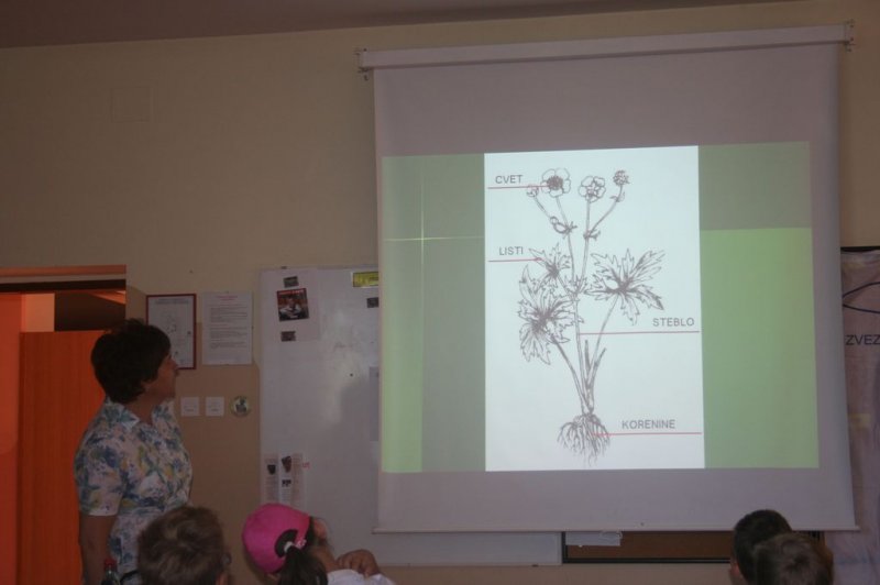 XI. Ekološko raziskovalni tabor Polžek 2013