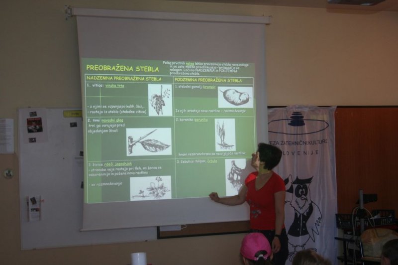 XI. Ekološko raziskovalni tabor Polžek 2013