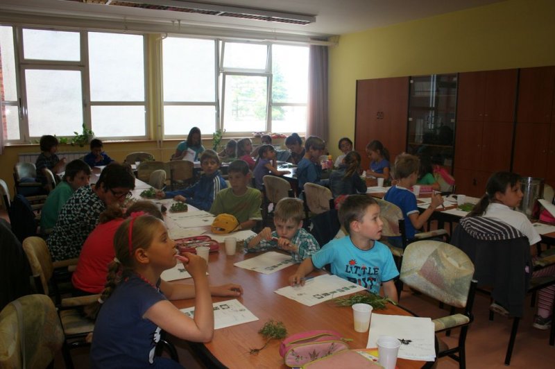 XI. Ekološko raziskovalni tabor Polžek 2013