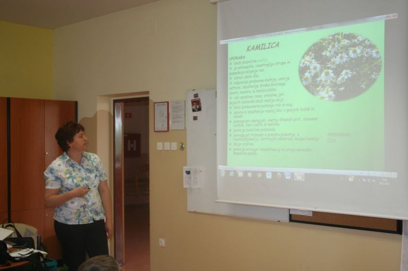 XI. Ekološko raziskovalni tabor Polžek 2013