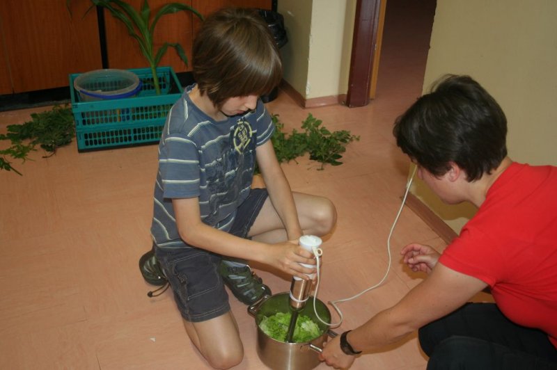 XI. Ekološko raziskovalni tabor Polžek 2013