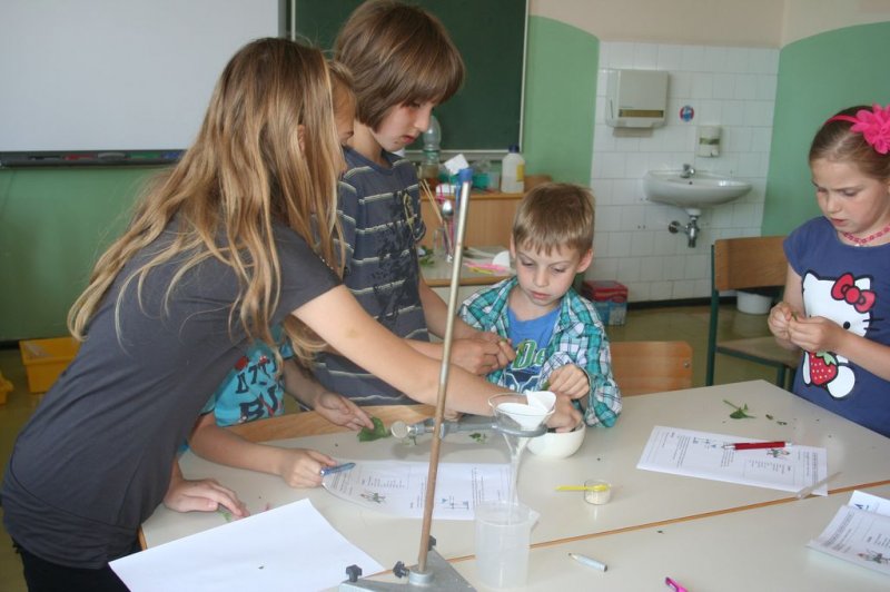 XI. Ekološko raziskovalni tabor Polžek 2013