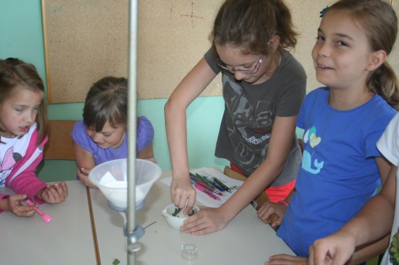 XI. Ekološko raziskovalni tabor Polžek 2013