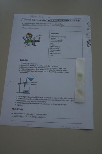 XI. Ekološko raziskovalni tabor Polžek 2013