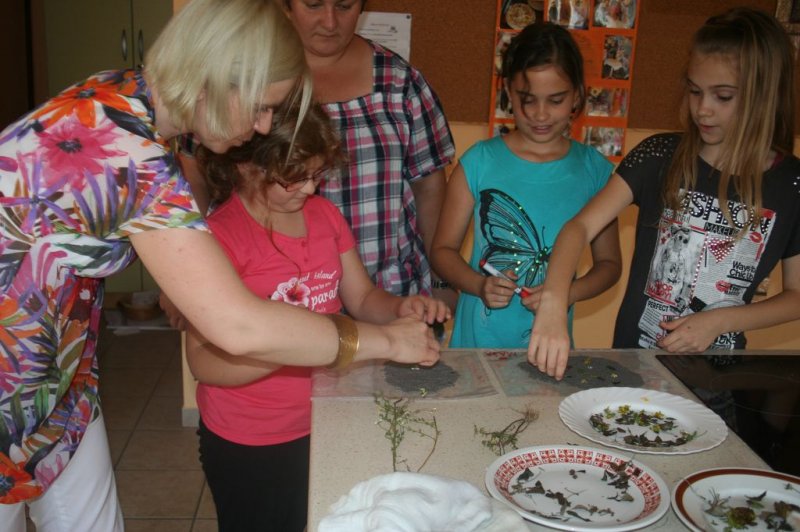 XI. Ekološko raziskovalni tabor Polžek 2013