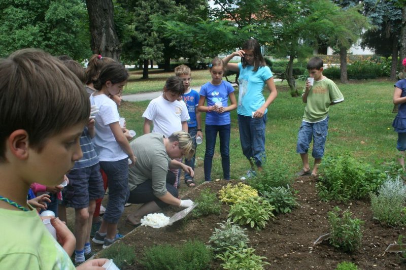 XI. Ekološko raziskovalni tabor Polžek 2013