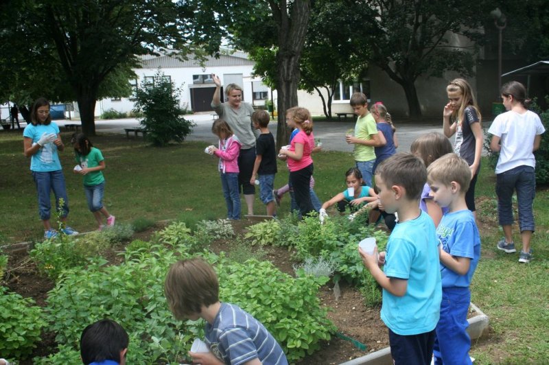 XI. Ekološko raziskovalni tabor Polžek 2013