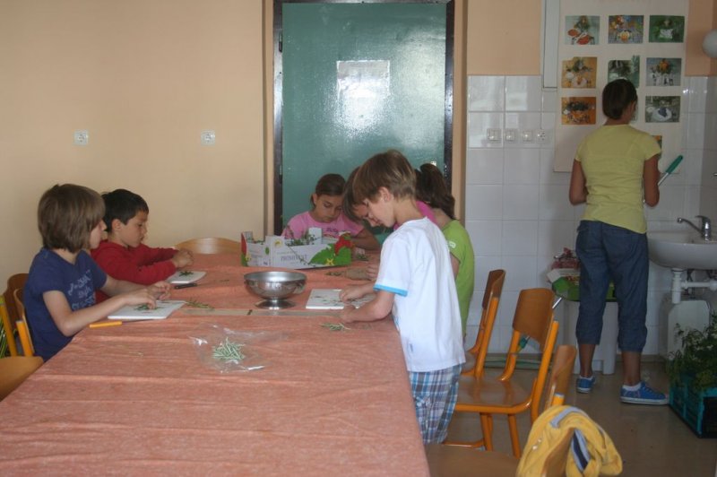 XI. Ekološko raziskovalni tabor Polžek 2013