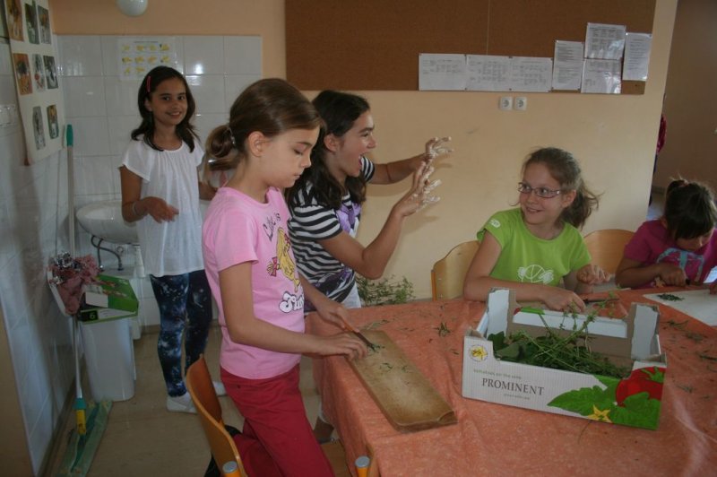 XI. Ekološko raziskovalni tabor Polžek 2013