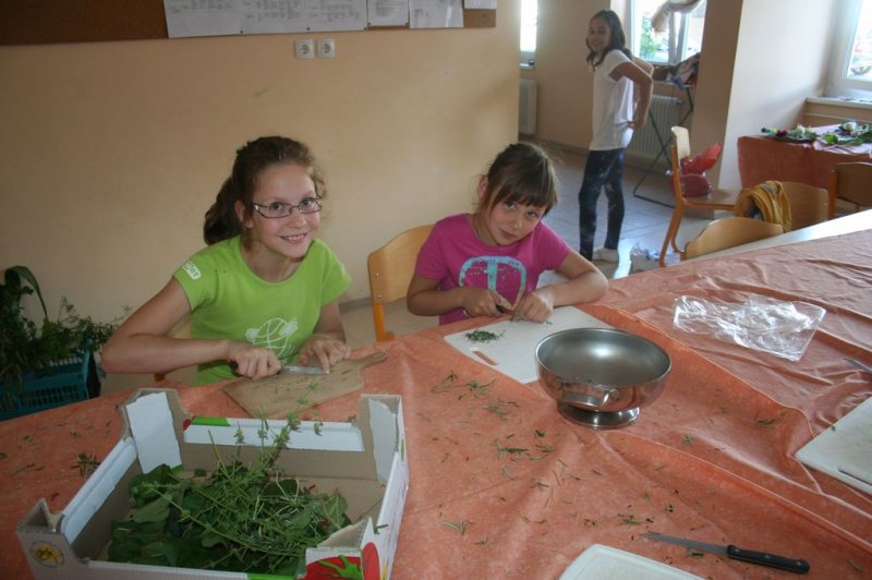 XI. Ekološko raziskovalni tabor Polžek 2013