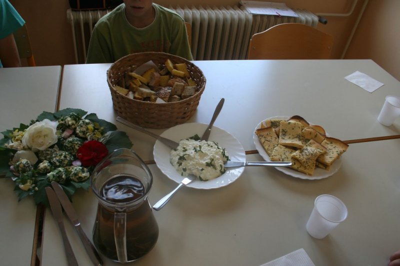 XI. Ekološko raziskovalni tabor Polžek 2013