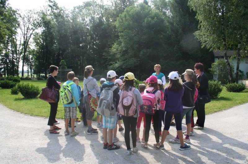 XI. Ekološko raziskovalni tabor Polžek 2013