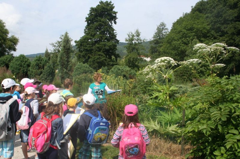 XI. Ekološko raziskovalni tabor Polžek 2013