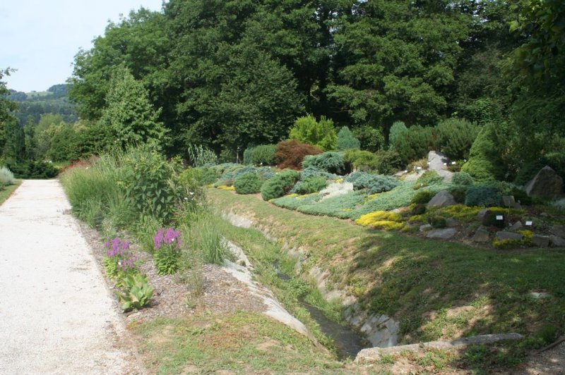 XI. Ekološko raziskovalni tabor Polžek 2013