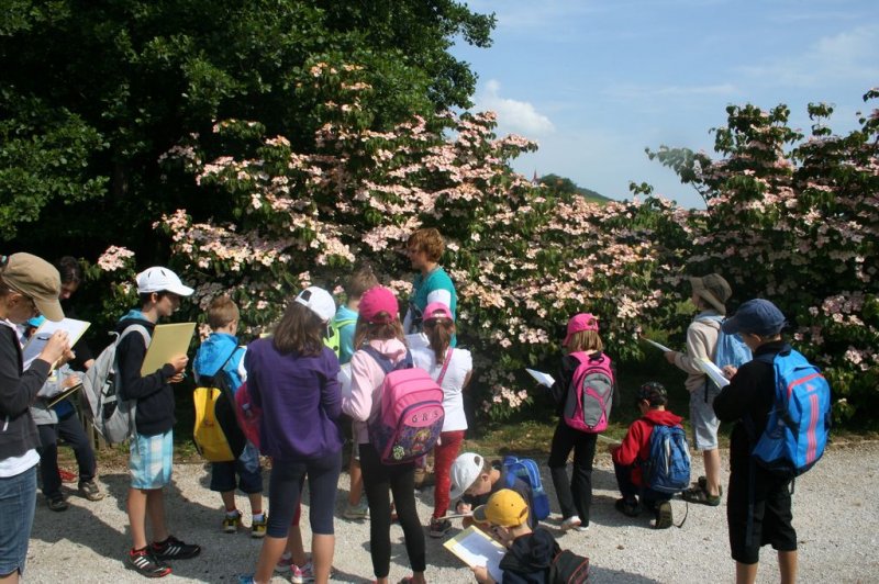 XI. Ekološko raziskovalni tabor Polžek 2013