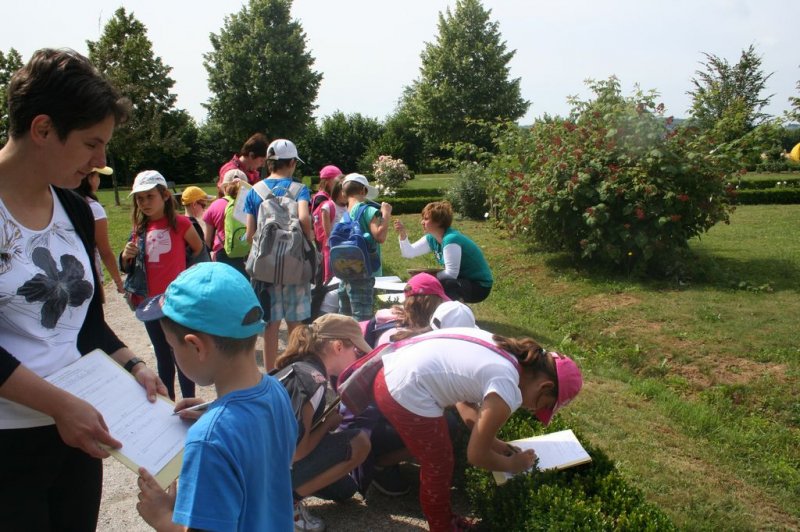 XI. Ekološko raziskovalni tabor Polžek 2013