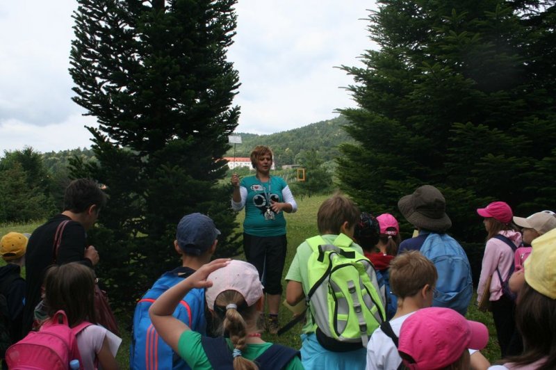 XI. Ekološko raziskovalni tabor Polžek 2013