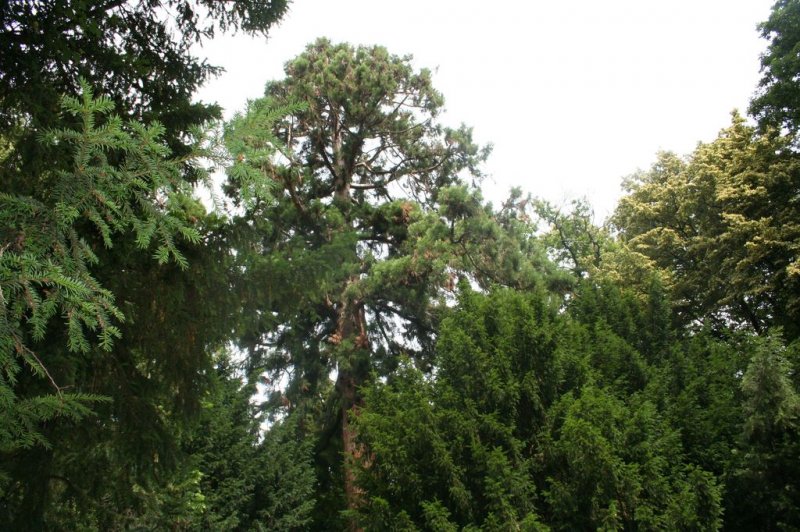 XI. Ekološko raziskovalni tabor Polžek 2013