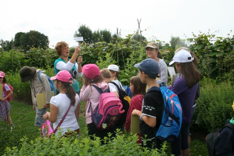 XI. Ekološko raziskovalni tabor Polžek 2013