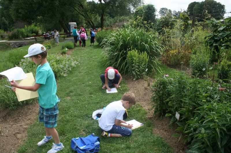 XI. Ekološko raziskovalni tabor Polžek 2013