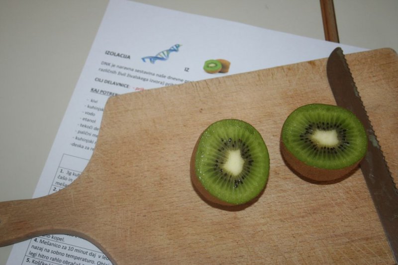 Sobotna šola za nadarjene