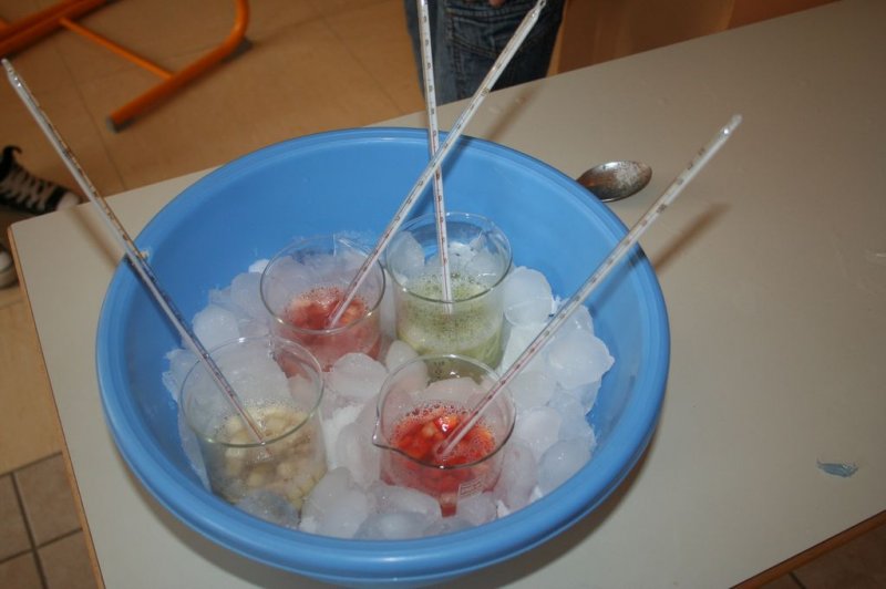 Sobotna šola za nadarjene