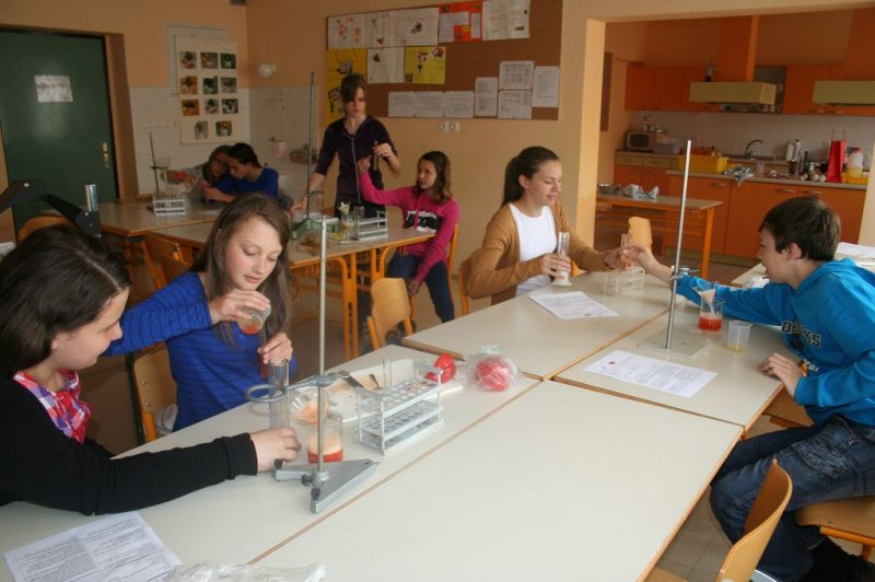 Sobotna šola za nadarjene