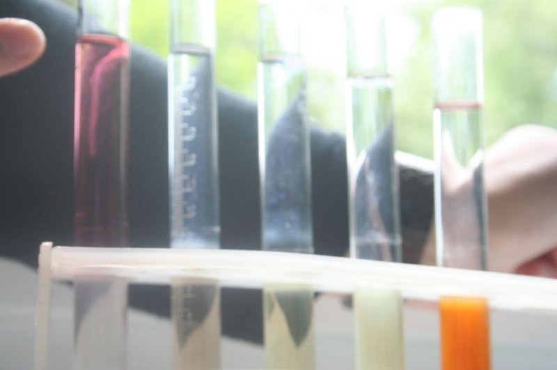 Sobotna šola za nadarjene