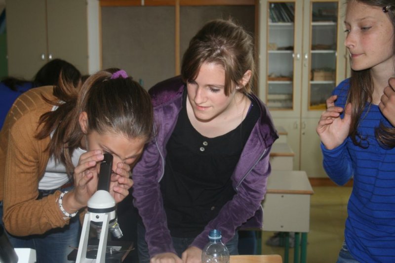 Sobotna šola za nadarjene