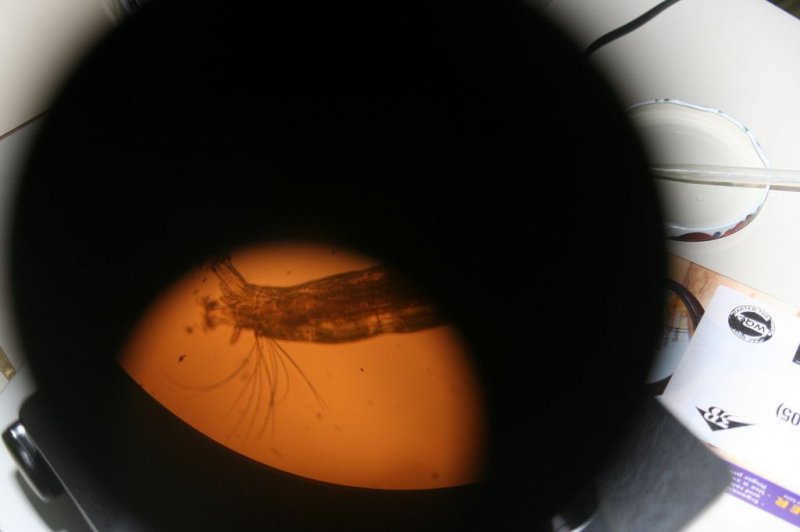 Sobotna šola za nadarjene