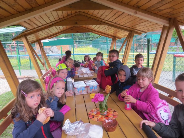 Obisk mini živalskega vrta SikaluZOO