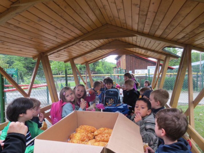 Obisk mini živalskega vrta SikaluZOO