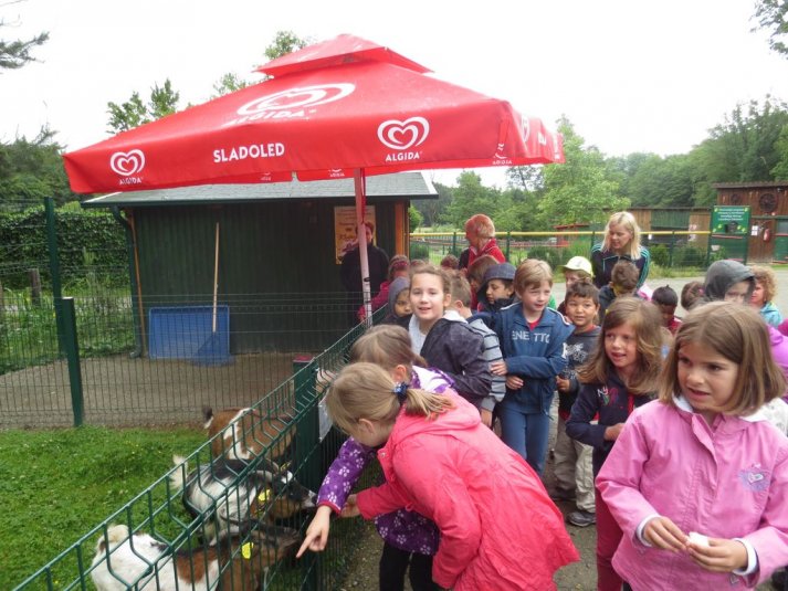 Obisk mini živalskega vrta SikaluZOO