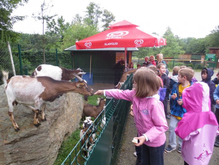 Obisk mini živalskega vrta SikaluZOO
