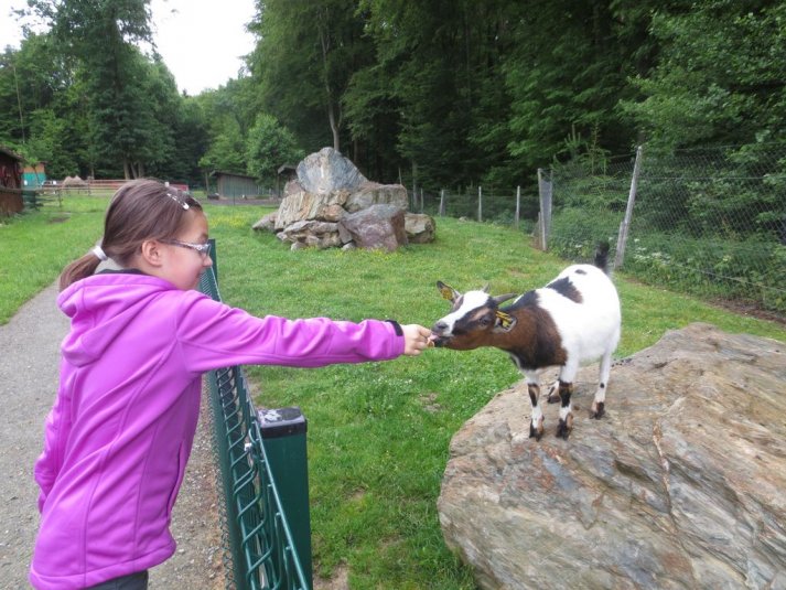 Obisk mini živalskega vrta SikaluZOO