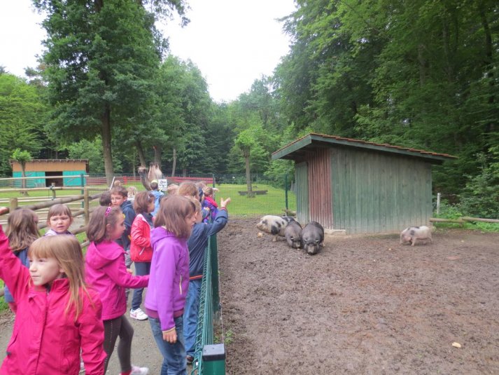 Obisk mini živalskega vrta SikaluZOO