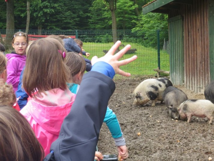 Obisk mini živalskega vrta SikaluZOO