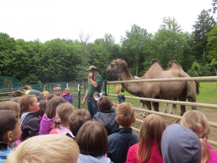 Obisk mini živalskega vrta SikaluZOO