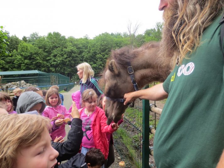 Obisk mini živalskega vrta SikaluZOO