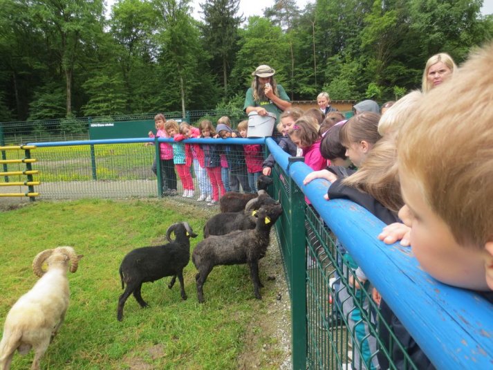 Obisk mini živalskega vrta SikaluZOO