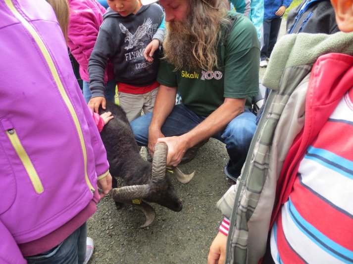 Obisk mini živalskega vrta SikaluZOO