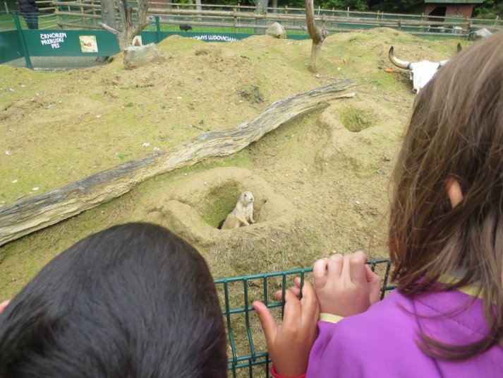 Obisk mini živalskega vrta SikaluZOO