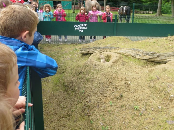 Obisk mini živalskega vrta SikaluZOO