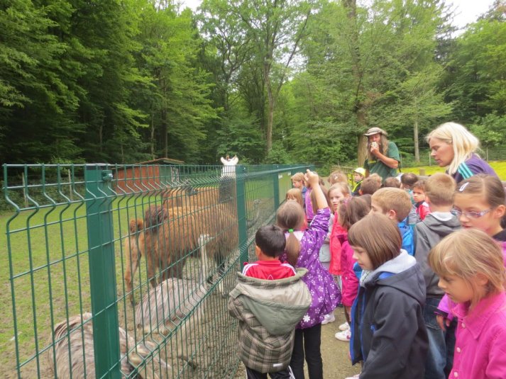 Obisk mini živalskega vrta SikaluZOO