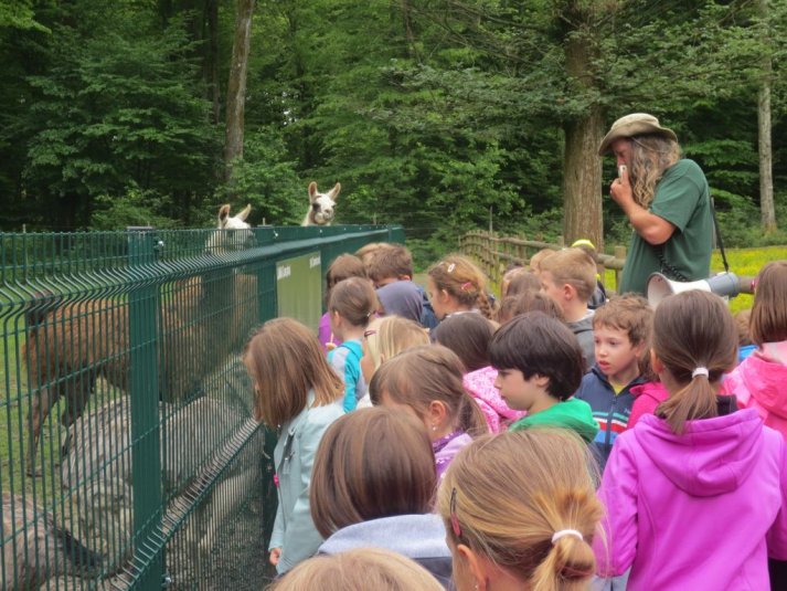 Obisk mini živalskega vrta SikaluZOO