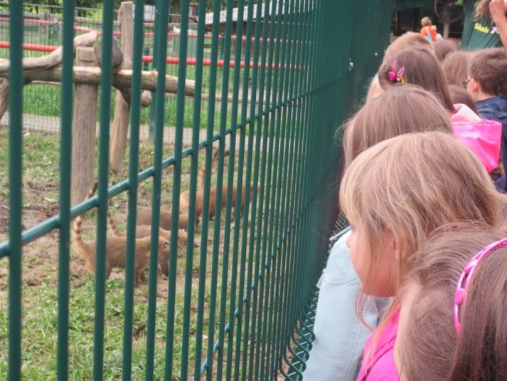 Obisk mini živalskega vrta SikaluZOO